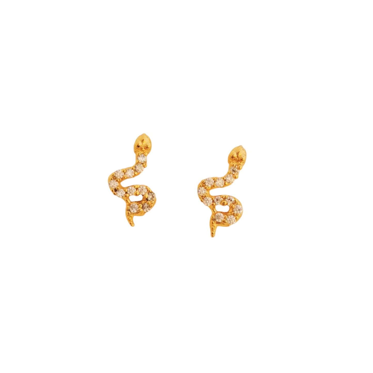 BROQUEL ZIRCONIAS SERPIENTE
