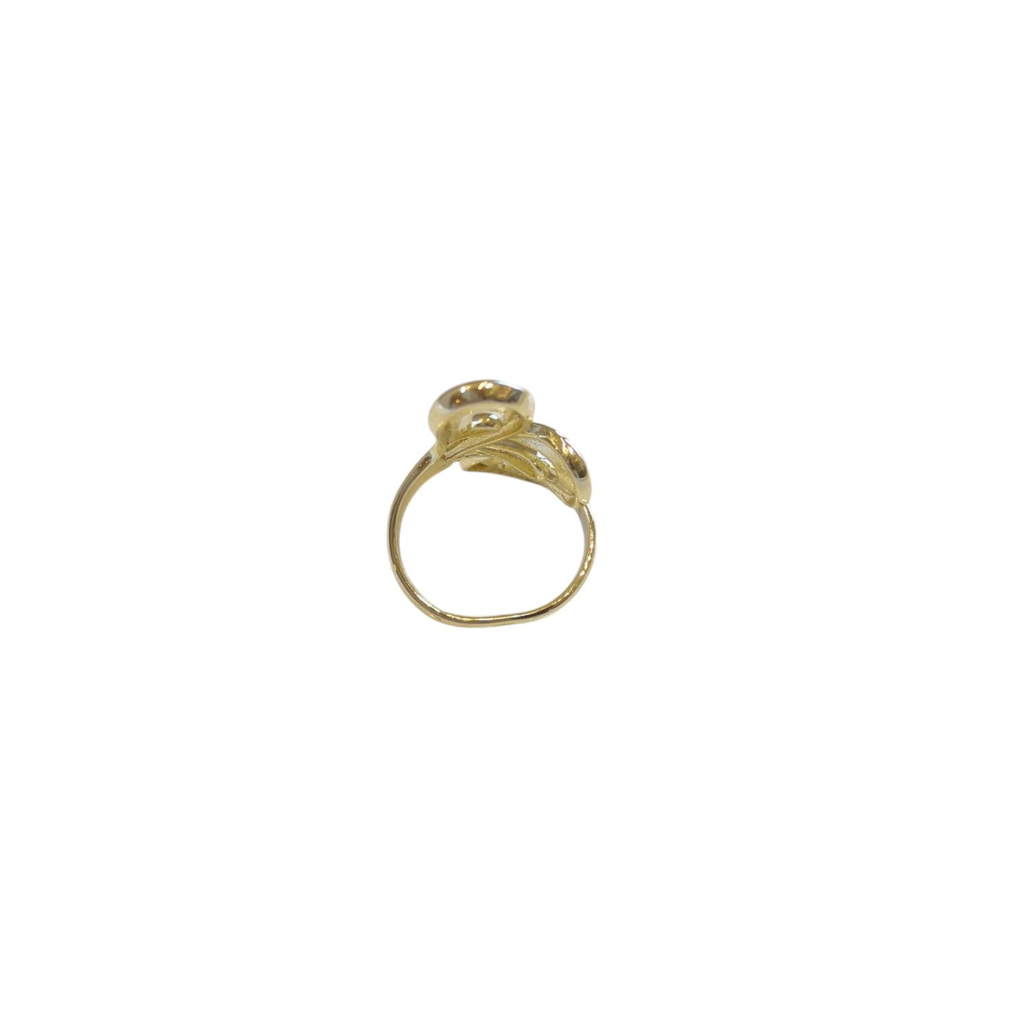ANILLO ONDAS