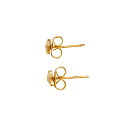 BROQUELITO ESTRELLA BLANCA