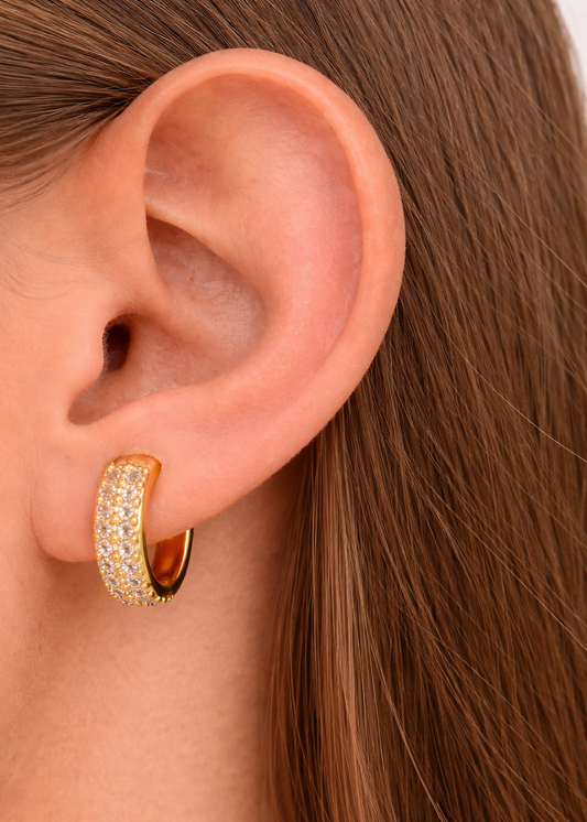 HOOPS ZIRCONIA CIRCULO