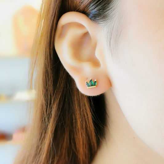 BROQUEL ZIRCONIA HOJITAS VERDES